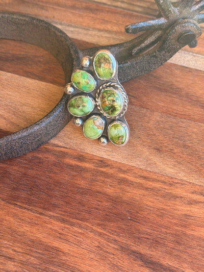 Custom Sonoran half Cluster