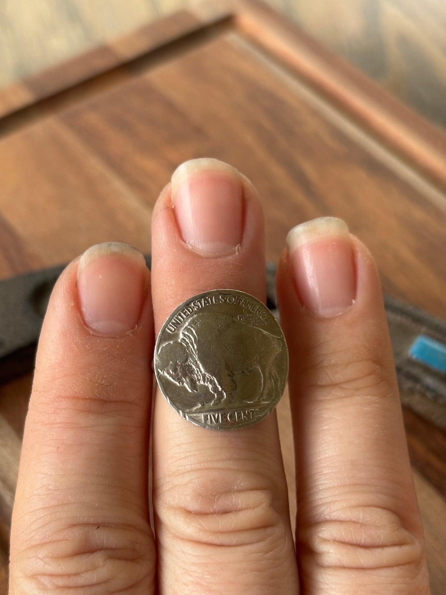 Buffalo nickel rings