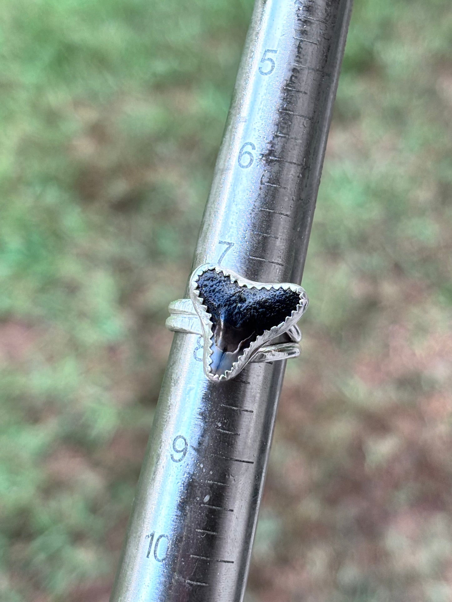 Sterling shark tooth adjustable ring